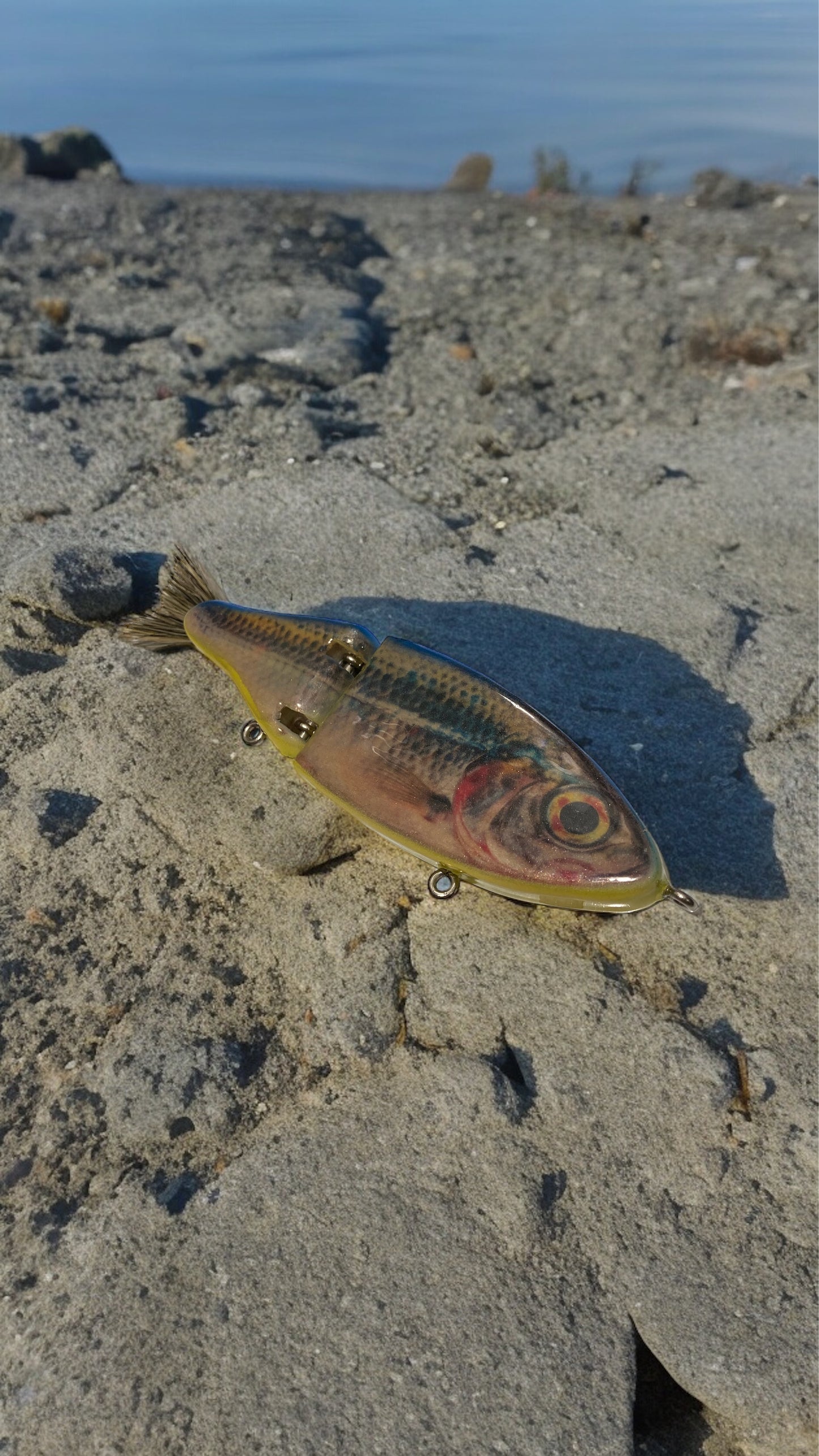 Decoy Shad Jr. - Fancy Shad - NV3002