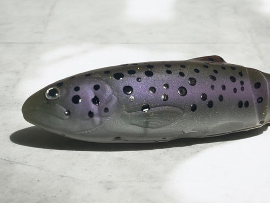 Candy Trout -Rainbow